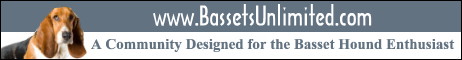 Bassets Unlimited - A Basset Hound Community