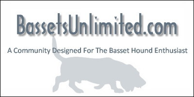 Bassets Unlimited - A Basset Hound Community