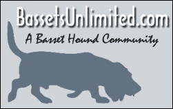 Bassets Unlimited - A Basset Hound Community