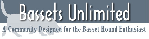 Bassets Unlimited - Basset Hounds